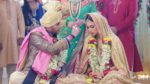 Naagin Season 2 6th November 2016 Full Episode 10 Watch Online