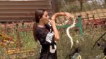 Khatron Ke Khiladi 8 29th July 2017 raising the bar for creepy Episode 3