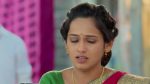 Lagira Zhala Jee 29th January 2019 Full Episode 558