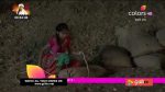 Kesari Nandan 20th February 2019 Full Episode 37 Watch Online