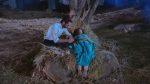 Krishna Chali London 22nd February 2019 Watch Online