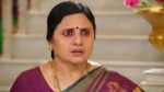 Kalyana Parisu 25th March 2019 Full Episode 1536 Watch Online