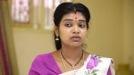 Mullum Malarum 25th March 2019 Full Episode 333 Watch Online