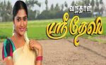 Vandhaal Sridevi 10th June 2019 Full Episode 297 Watch Online
