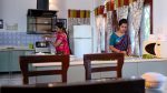 Ninne Pelladatha 13th August 2020 Watch Online