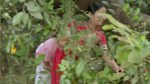 Punyashlok Ahilyabai 25th January 2021 Full Episode 16