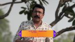 Sun Sasu Sun 19th January 2021 Watch Online