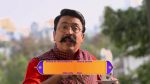 Sun Sasu Sun 28th January 2021 Watch Online