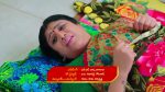 Karthika Deepam 29th July 2021 Full Episode 1104 Watch Online