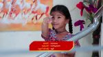 Paape Maa Jeevana Jyothi 4th December 2021 Full Episode 186