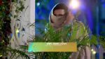 Mon Phagun 6 Mar 2022 Episode 221 Watch Online