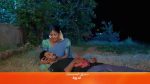 Gokulathil Seethai 23 Apr 2022 Episode 672 Watch Online