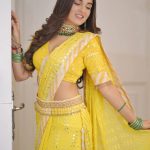 Shiny Doshi