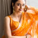 Madirakshi Mundle