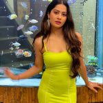 Krishna Mukherjee