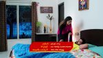 Karthika deepam 30 Aug 2022 Episode 1430 Watch Online