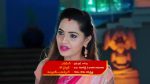 Karthika deepam 31 Aug 2022 Episode 1431 Watch Online
