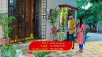 Karthika deepam 4 Aug 2022 Episode 1412 Watch Online