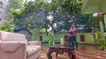 Punarvivaha 26 Aug 2022 Episode 350 Watch Online