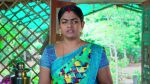 Karthika deepam 5th September 2022 Episode 1435 Watch Online