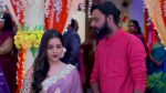 Dhulokona 8th November 2022 Episode 470 Watch Online