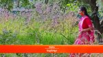 Inti Guttu 25th November 2022 Episode 614 Watch Online