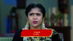 Karthika deepam 12th November 2022 Episode 1491 Watch Online