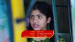 Karthika deepam 17th November 2022 Episode 1495 Watch Online