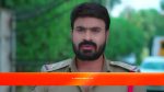 Trinayani (Telugu) 1st December 2022 Episode 773 Watch Online