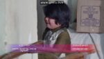 Kena Bou (Bengali) 24th January 2023 New Episode: 24 hours before TV Episode 120