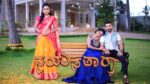 Nayanatara (kannada) 25th January 2023 Episode 604 Watch Online