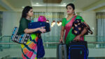 Paape Maa Jeevana Jyothi 3rd January 2023 Indumathi, Yamini’s Tiff Episode 524