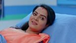 Punarvivaha 1st February 2023 Episode 527 Watch Online