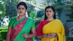 Paape Maa Jeevana Jyothi 15th February 2023 Indumathi, Yamini’s Evil Intentions Episode 560