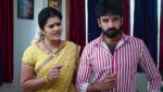 Paape Maa Jeevana Jyothi 22nd February 2023 Shambu’s Evil Motive Episode 566
