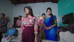 Pallakilo Pellikuturu 13th February 2023 Sasirekha Is Heartbroken Episode 121