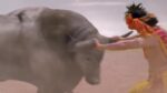 Radha krishna (Bengali) 20th March 2023 Aristasur Apologises to Krishna Episode 1032