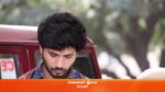 Rettai Roja 8th March 2023 Episode 1005 Watch Online