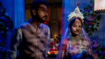 Balijhor 8th March 2023 Mohargho Gets Disappointed Episode 31
