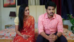 Paape Maa Jeevana Jyothi 2nd March 2023 Priya’s Request to Vishwa Episode 573