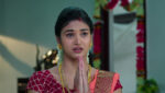 Pallakilo Pellikuturu 25th March 2023 Sasirekha Is Apologetic Episode 156