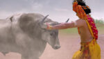 Radha krishna (Bengali) 19th March 2023 Krishna, Aristasur’s Battle Episode 1031