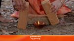 Maari 10th April 2023 Episode 217 Watch Online