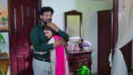 Pallakilo Pellikuturu 17th April 2023 Sasirekha Takes a Decision Episode 175