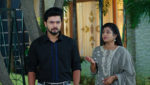 Pallakilo Pellikuturu 24th April 2023 Sindhu Spills the Beans Episode 181