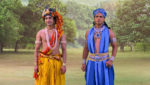 Radha krishna (Bengali) 10th April 2023 Krishna to Stop the Sacrifice? Episode 1052