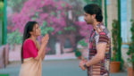 Woh Toh Hai Albelaa 17th April 2023 Rashmi Seeks Krishna’s Help Episode 319