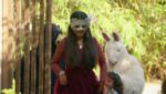 Imlie (Star Plus) 7th May 2023 Imlie Finds Atharva’s Letter Episode 808