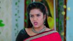 Trinayani (Kannada) 10th June 2023 Episode 746 Watch Online