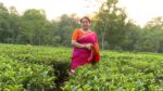 Ghore Ghore 11th July 2023 Episode 164 Watch Online